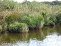 2017-09-27 16-05-56 Circuit la Briere-Promenade en chaland MBo